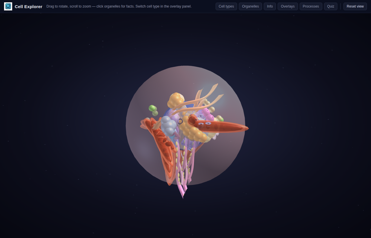 Cell Explorer
